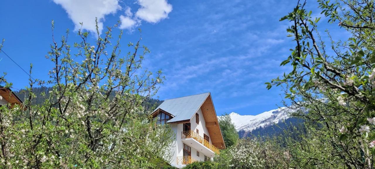 The Wooden Chalet, Manali Exterior photo